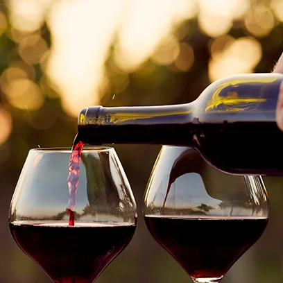 Campo de Criptana. Vino tinto