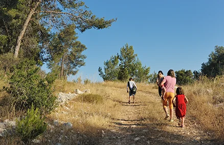 Turismo Activo y Deporte en Campo de Criptana. Naturaleza. Senderismo